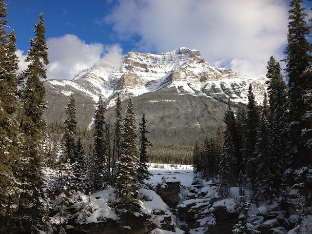 Gost na blogu Doktor iliti zima kao&nbsp;takva