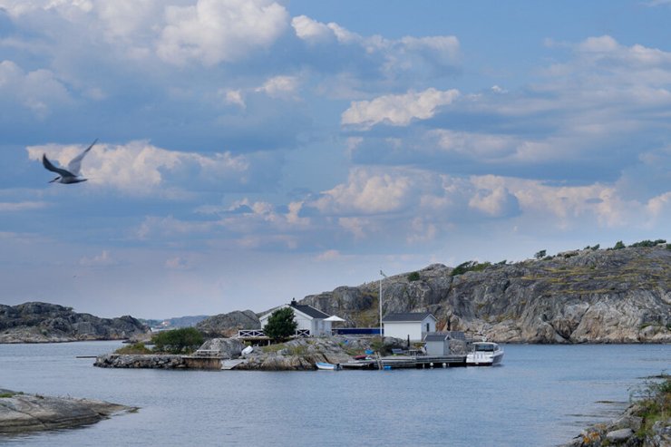 Gost na blogu Danka, iliti Švedska, ljeto i puževi