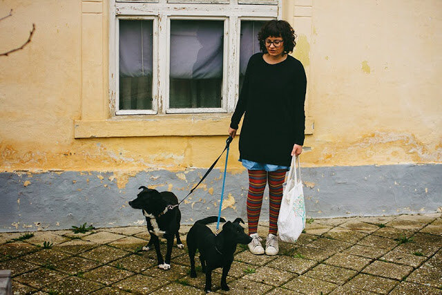 Keksi za kuce i mace/Poslastica za&nbsp;prijatelje