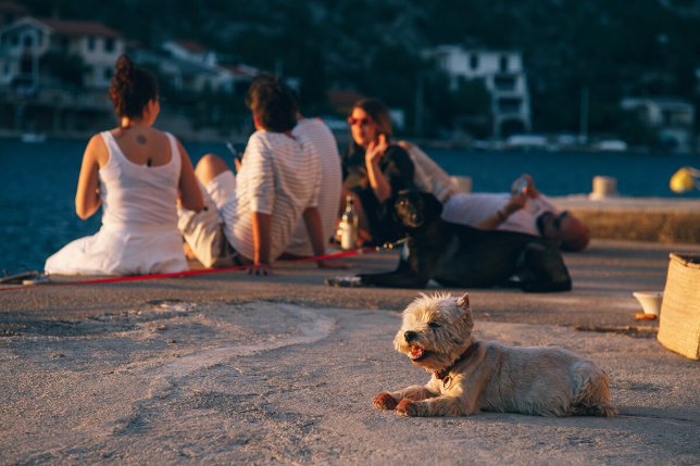 Video! Fokaća koja se ne mesi od speltinog brašna i mafini od&nbsp;borovnice