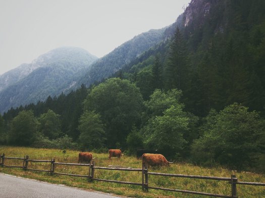 Processed with VSCO with f2 preset